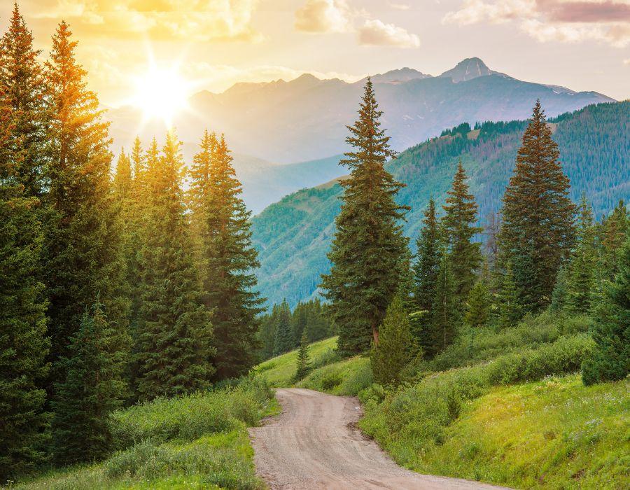 What Makes VelvetPine Hotel Ideal for Nature Lovers
